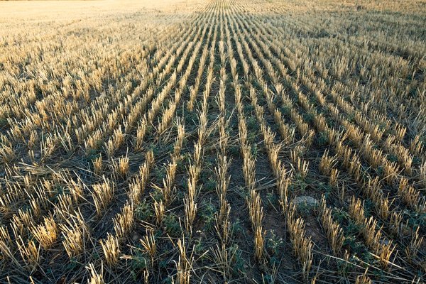 Comment gérer une association culturelle?